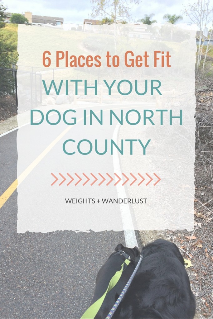  6 Places to Get Fit With Your Dog in North County | @wanderweights | www.weightsandwanderlust.com